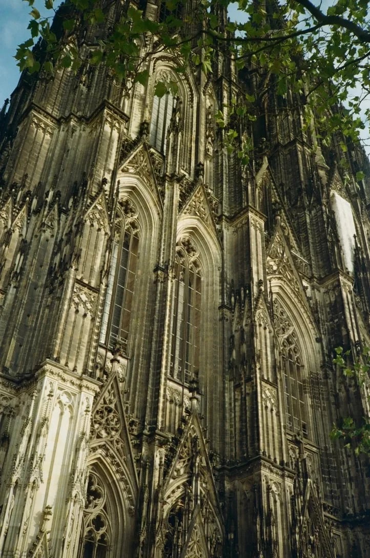 Gothic cathedral framed by trees
