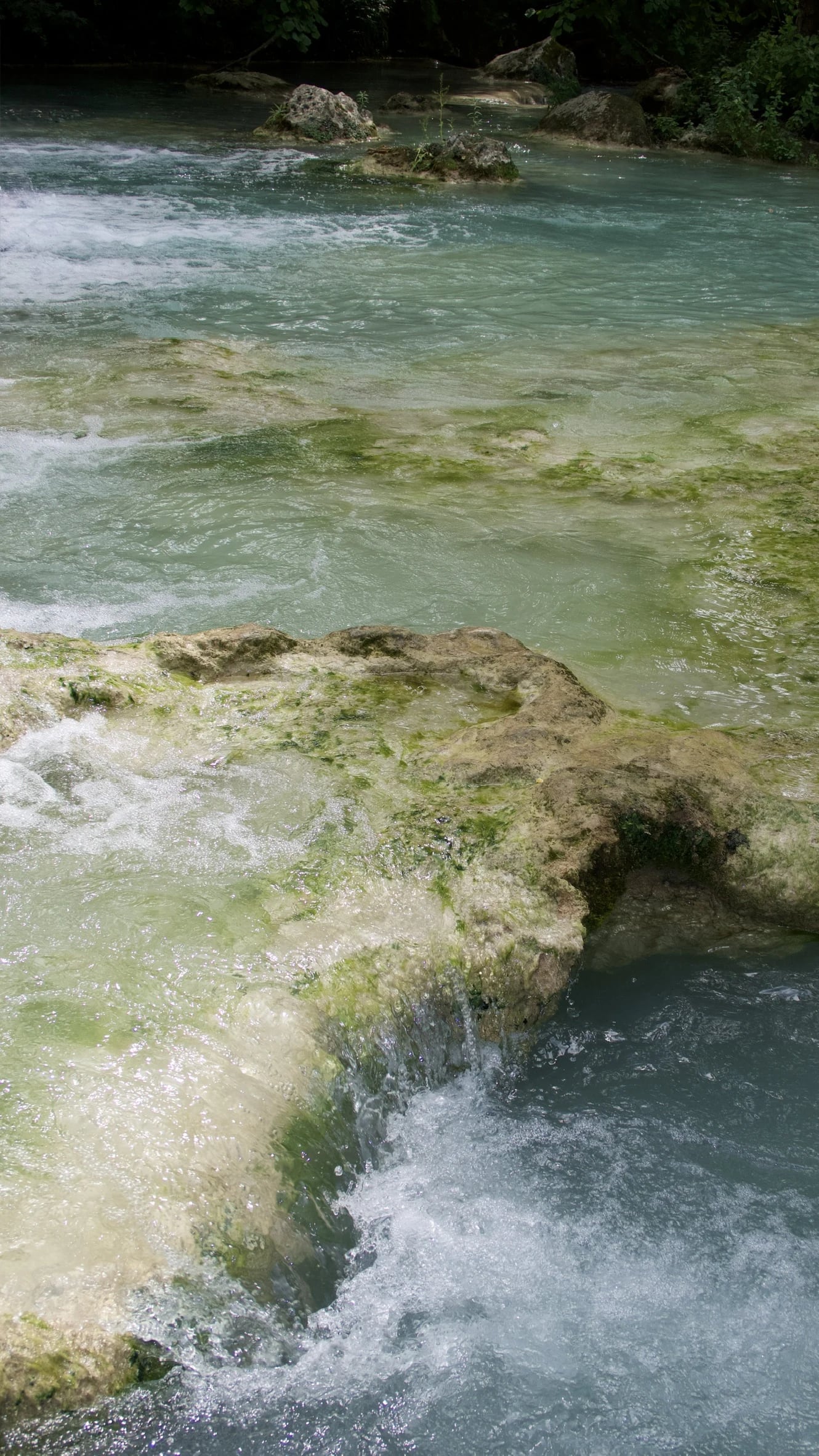 Clear water flowing over pale rocks in a forest